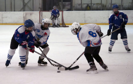 Hockey Game Action