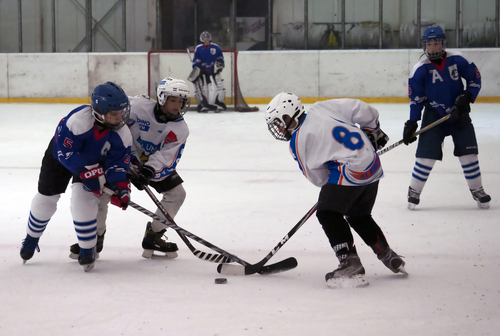 Hockey Game Action