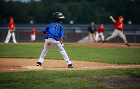 Baseball on Plate Action