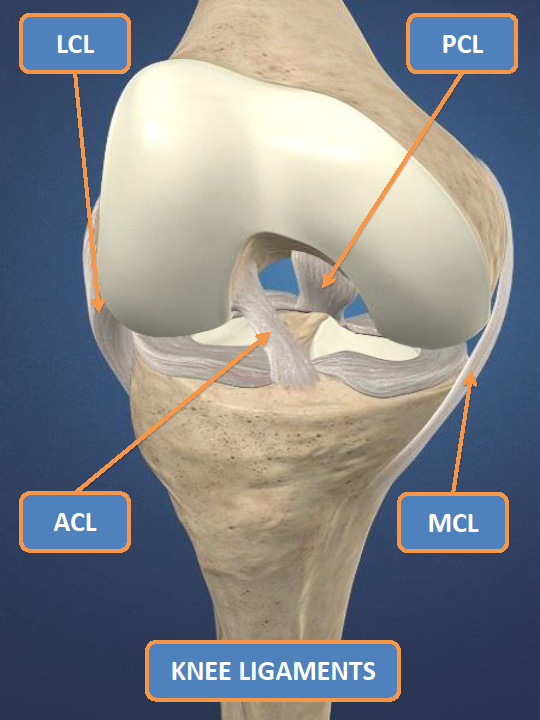 The ACL Epidemic in Sports, Part 2: Who’s at Risk?