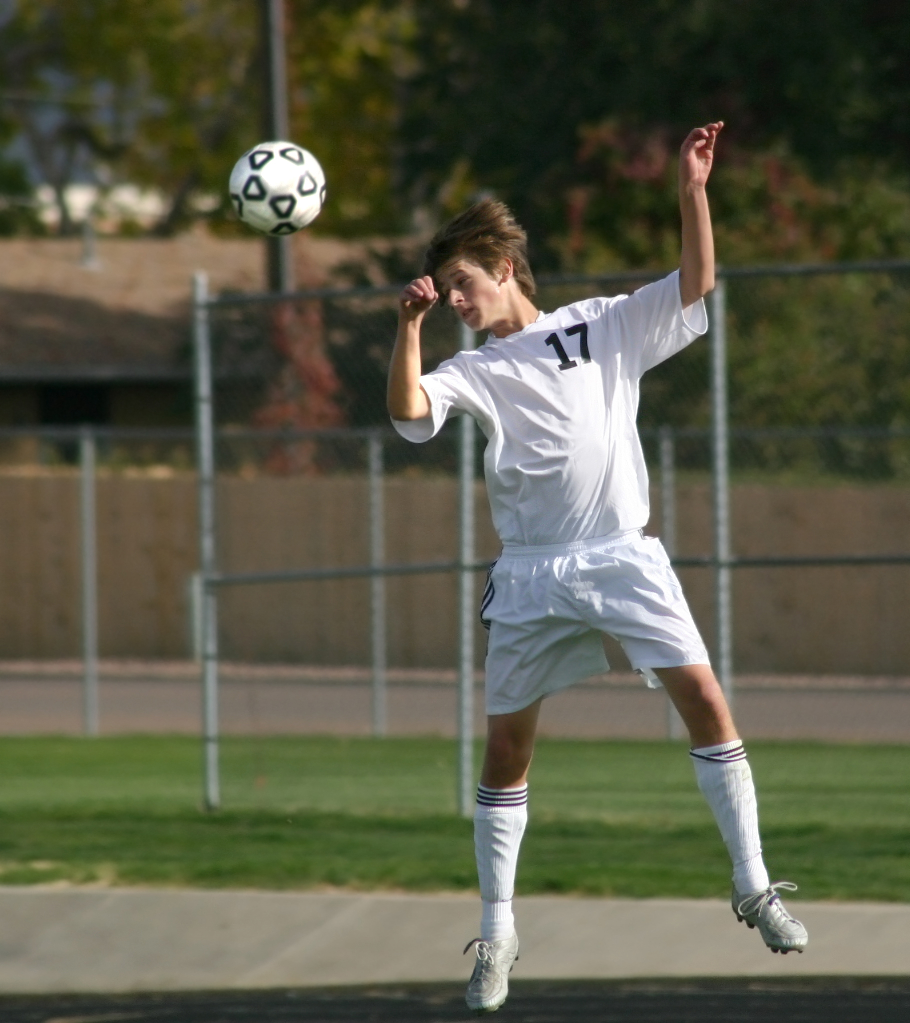 A Brief Overview of Concussion Safety